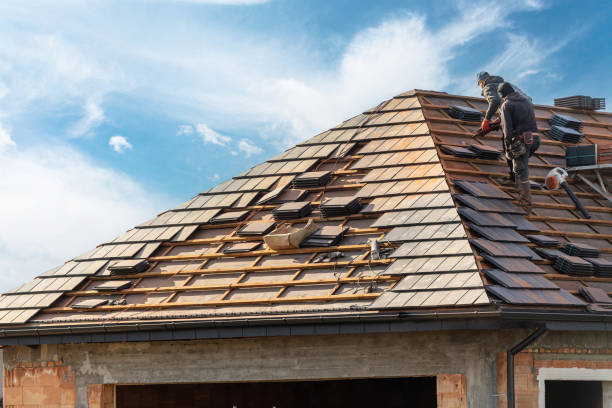 Best Cold Roofs  in Murphy, MO